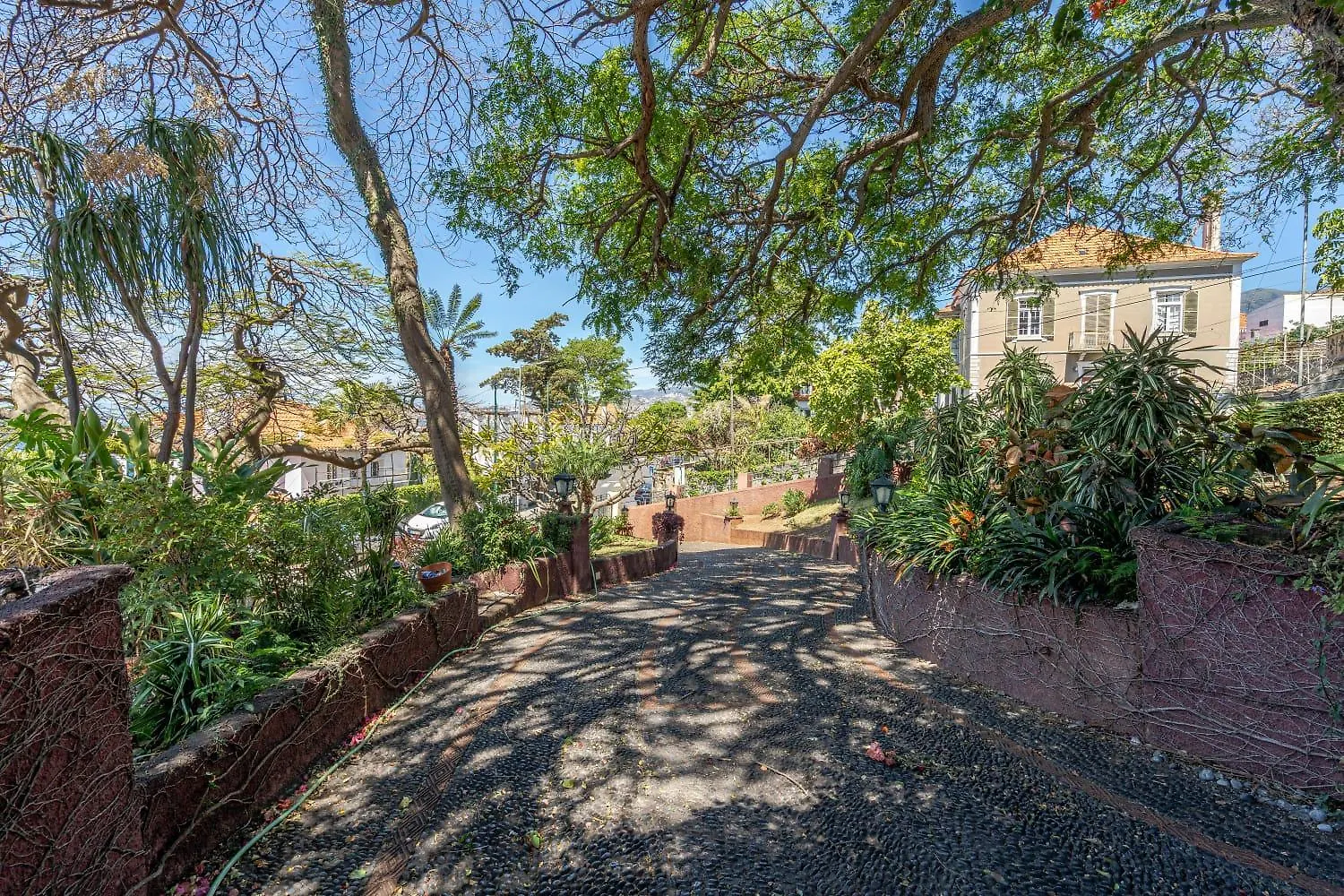 Francisco'S Apartment Funchal